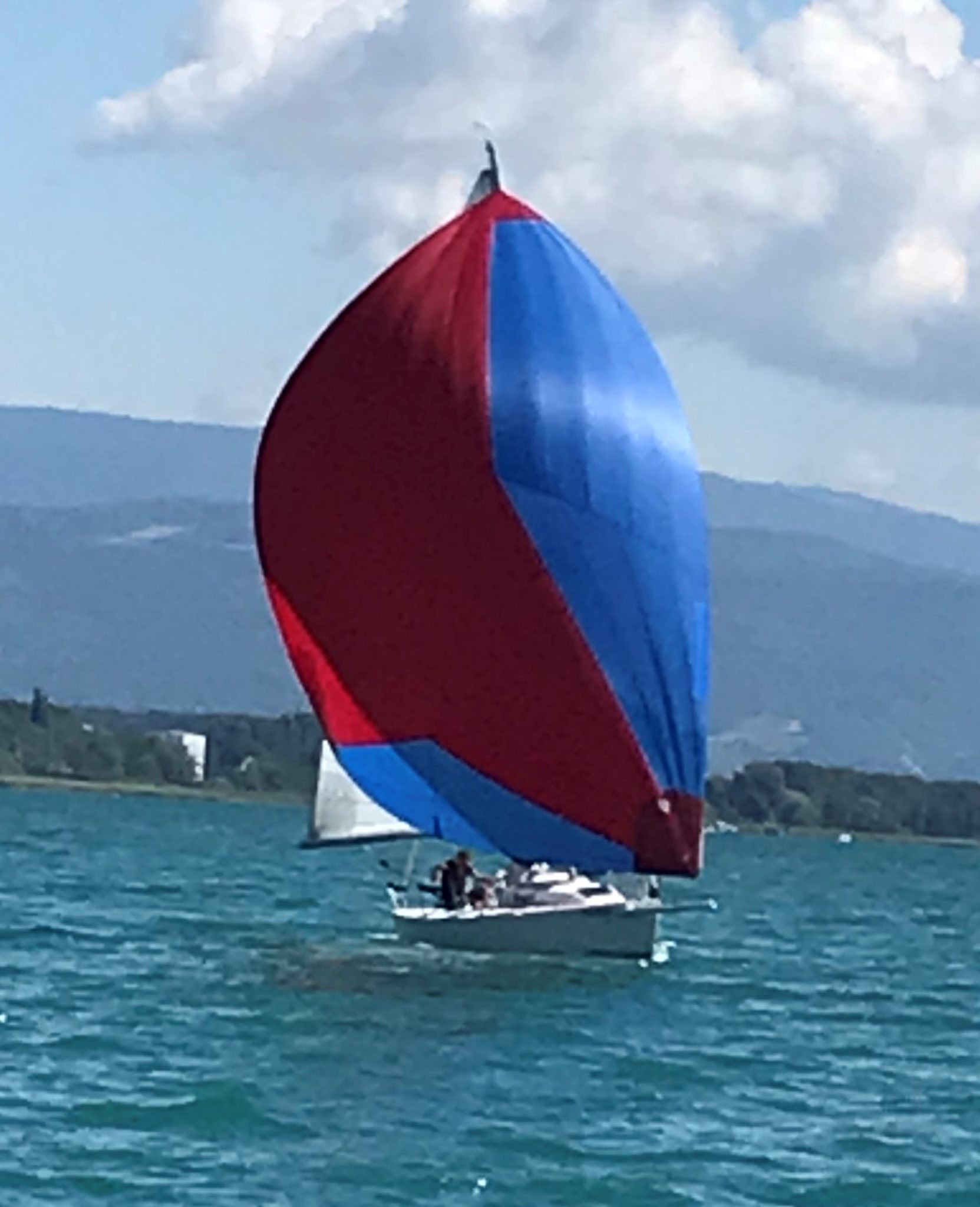 J80-Altaripa-cropped-IMG_1349-1663×2048